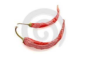 Two red chilly pepper isolated