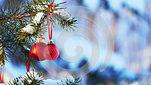 Two Red Christmas Balls decorations hanging on snow covered pine tree branch outside with snow in background. Subtle zoom in