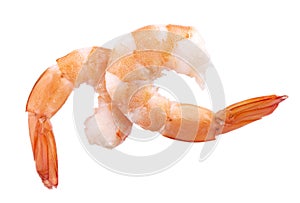 Two red cooked prawn or tiger shrimp isolated on white background