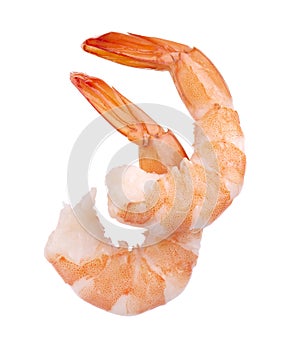 Two red cooked prawn or tiger shrimp isolated on white background
