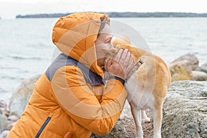 Two red dogs, Japanese Laika, Siba-inu breed, are wearing a red scarf, a symbol of Christmas. Concept meeting New Year