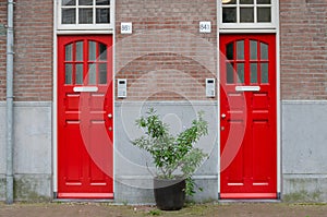 Two red doors on the facade of the house.  Big street flowerpot with green plant. Amsterdam Oost. East side neighbourhoods