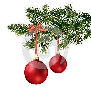 Two red glass balls on Christmas tree branch