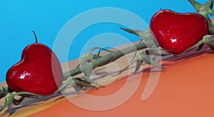 Two red hearts on an empty branch from cherry tomatoes on a blue orange yellow background