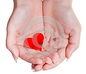 Two red hearts in female handful isolated