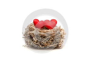 Two red hearts are laying together in nest. Relationship concept