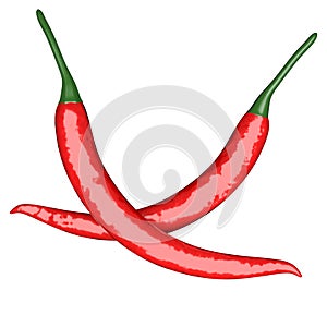 Two red hot chili pepper