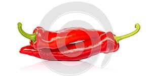 Two red hot chili pepper isolated on white background, like people having sex in 69 posture
