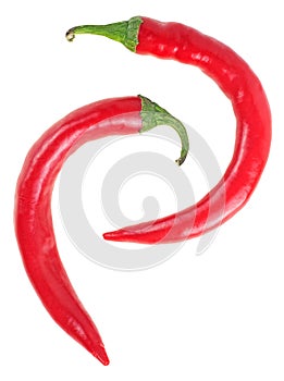 Two red hot chili peppers isolated on white background, top view