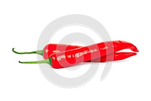 Two red hot chilli pepper isolated on white