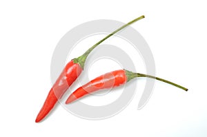 Two red hot chilli peppers