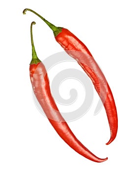 Two red hot chilly peppers isolated