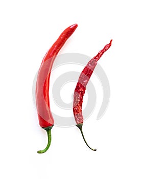 Two red hot peppers of different ages isolated on a white background. Concept of potency and men`s health and strength.