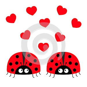 Two red lady bug ladybird icon set couple with hearts. Happy Valentines Day. Cute cartoon kawaii funny baby character. Love