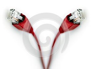Two Red Network Utp Cable, Studio shot, on White Background