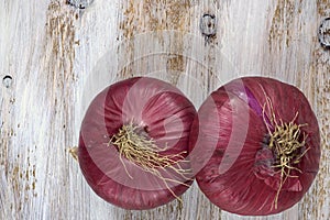 Two red onions on the white painted wooden background.