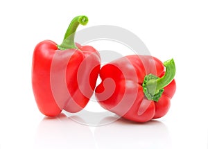 Two red peppers on a white background