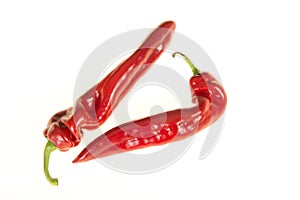 Two red pointed peppers isolated on a white background