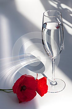 Two red poppy flowers on white table with contrast sun light and shadows and wine glass with water closeup