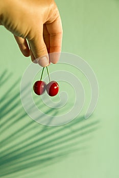 Two red ripe sweet cherries on stem in woman& x27;s had against blue green turquise wall with palm leaf shadows. Summer