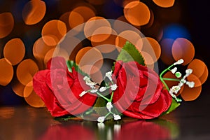 Two red roses with bokeh lights.