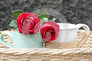 Two red roses and couple cup of tea or coffee in a wooden rattan basket on blue background. Relationship and valentine day concept