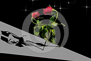 Two red roses with green leafs are dancing on the black background. Shadow of roses is near. Happy Valentine`s Day