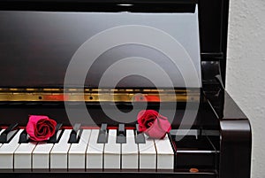 Two red roses on piano keyboard