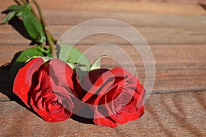 Two Red Roses on Wood