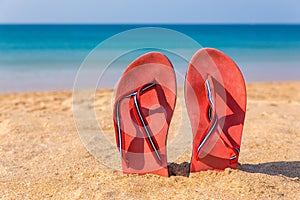 Two red slippers upright in sand of beach