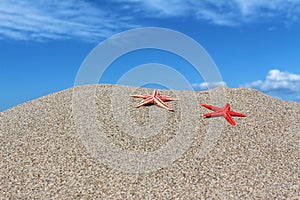 Two red starfishes on sand on a beach