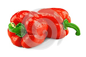 two red sweet bell peppers isolated on white background. clipping path