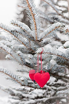 Two red textile hearts hanging on snowy fir-branch, Christmas and Valentine`s Day greeting concept