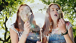 Two red twin sisters are playing with dandelion flowers. The fans are blowing on them, their hair highlights the sun