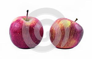 Two red - yellow apples on a white background - front view