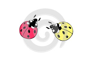 Two red and yellow ladybugs in flat doodle style. Cute insects. Top view. Vector bright cliparts, simple illustration