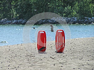 The bay watchers