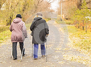 Two retired women dressed in jackets are engaged in Nordic walking in an autumn park in the middle of the trees. Rear