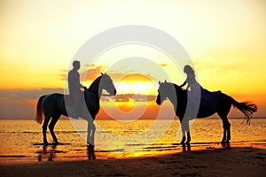 Two riders on horseback at sunset on the beach. Lovers ride horseback. Young beautiful man and woman with a horse at the sea. Rom