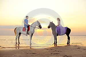 Two riders on horseback at sunset on the beach. Lovers ride horseback. Young beautiful man and woman with a horse at the sea. Rom