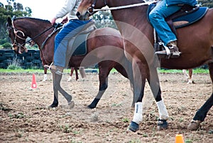 Two riders on the horses. Victoria, Australia