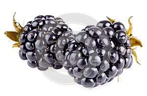 Two ripe blackberry (macro)