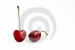 Two ripe cherries fruit on a white background