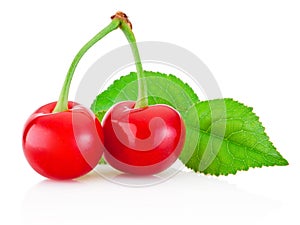 Two ripe cherries with leaf isolated on white background