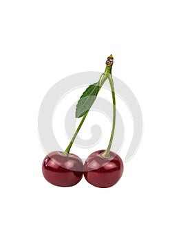 Two ripe cherries with a stem isolated on a white background.