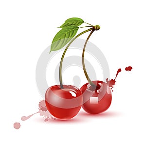 Two ripe cherries on a white background, delicious food, vitamins. 3D effect. Vector illustration. EPS10