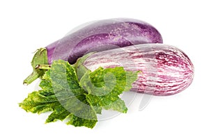 Two ripe eggplants