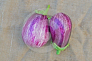 Two ripe eggplants on a sacking background