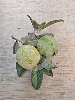 Two ripe guava fruit on the table