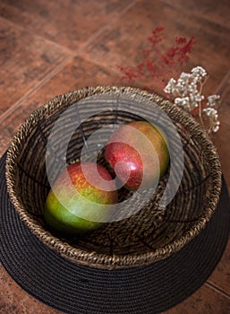 Two ripe mango fruits in braided basket